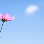 カラダのメンテは専門家に任せるのが吉！